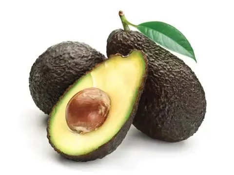 Avocado from 스페인 supplied by PLATANOS LOPEZ, S.A. - Carton Box (=Cardboard Box) 신선 아보카도