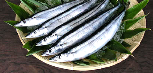 Canned Saury from Thailand supplied by Eastern Delight Food Co., Ltd. - Fresh (=Chilled=Raw) Frozen Pacific Saury