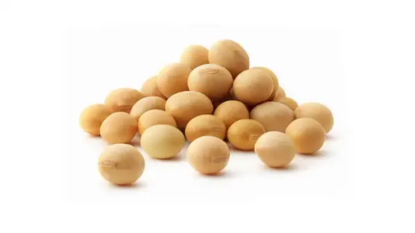 Soya Beans from 에티오피아 supplied by Tamrin International Trading PLC - 껍질 없음(=알맹이) 대두