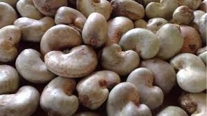 Cashew Nuts from 나이지리아 supplied by Afrilinks Express Services Ltd - Kernel 생 캐슈너트