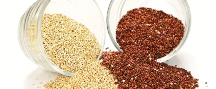 quinoa from 페루 supplied by INCA MYSTIC GRAIN - Whole 퀴노아