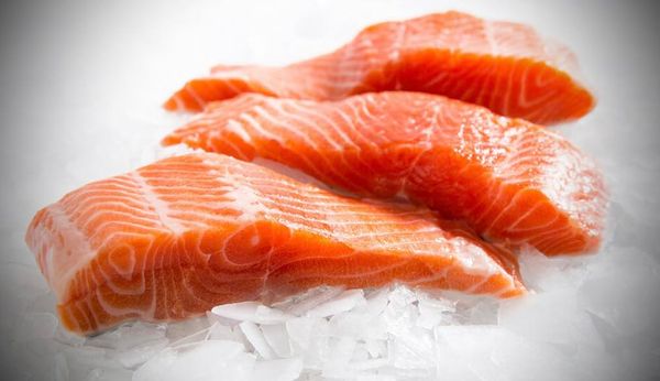 frozen trout from United Kingdom supplied by C.M. Roach & Co. Ltd - Frozen Frozen Trout