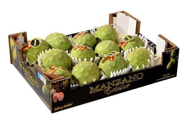 Cherimoyas from 스페인 supplied by Frutas Manzano (Frutas Rafael Manzano e Hijos SL) - Green 체리모야