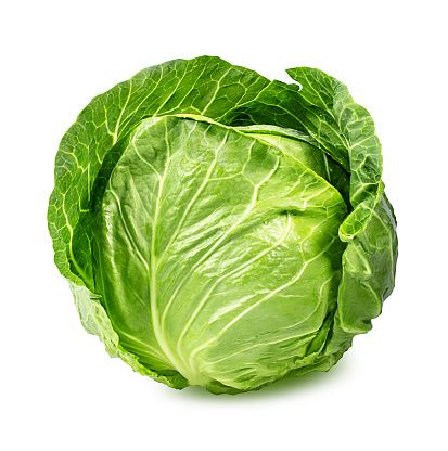 Frozen Savoy Cabbage Leaf from 독일 supplied by MENÜKO Insel Usedom GmbH - Savoy Cabbage 신선 양배추