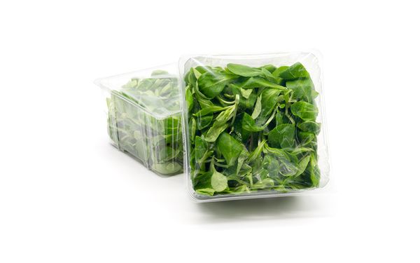 Lamb Lettuce from 독일 supplied by Plug Verpackungs GmbH - Fresh (=Chilled) 신선 상추