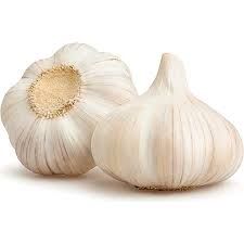 Fresh Garlic from 체코 supplied by Zemědělská farma Bratkovice - Pavel Reš - Fresh (=Chilled) 신선 마늘