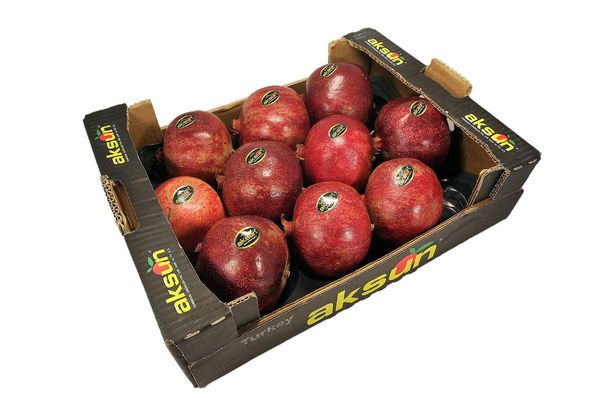 Pomegranate from 튀르키예 supplied by Aksun Tarim - Medium Quality 신선 석류