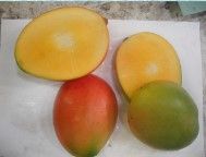 Fresh Keit Mango from 코스타리카 supplied by Manga Rica - Size: 9 신선 망고