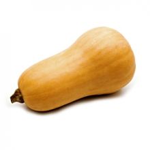 Squash from 포르투갈 supplied by Santos & Pereira Lda. - Fresh 스쿼시