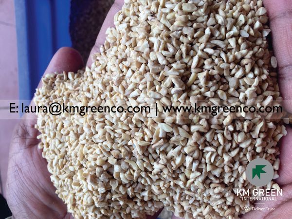 Vietnamese Cashew Kernels BB from Vietnam supplied by KM Green Co - Broken Raw Cashew Nut