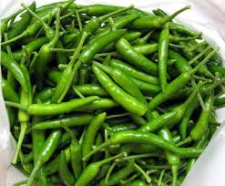 GREEN CHILLIES /BIRD EYE CHILLIES from 우간다 supplied by KIKEZ AGROLINE LTD - Scotch Bonnet (=Bahama Mama=Jamaican Hot=Martinique Pepper) 말린 통고추