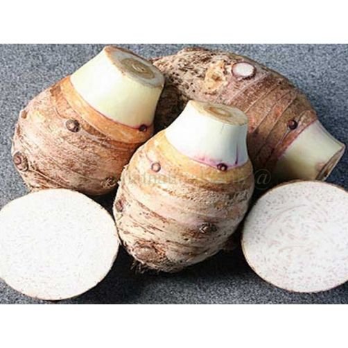 Taro from 베트남 supplied by Dalat Natural Food JSC - Carton Box (=Cardboard Box) 토란