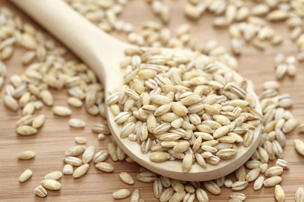 Barley from 독일 supplied by P. Krücken Organic GmbH - Kernel 보리