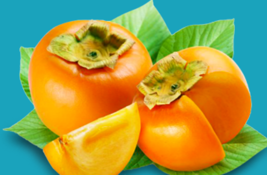 Persimmon from 말레이시아 supplied by Chop Tong Guan Sdn Bhd - Asian Persimmon - Fuyu (=Fuyo) 신선 감