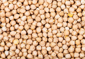 Chickpea from Czechia supplied by Vega Vita Brno - Whole Dried Chickpea