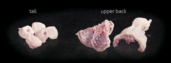 chicken from 벨기에 supplied by Vanobel NV - 다리 냉동 닭고기 부위