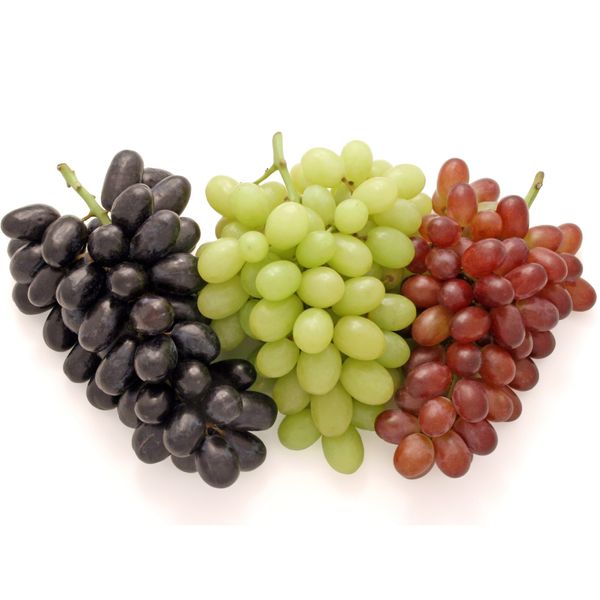 Fresh Table Grape from 스페인 supplied by Finca Torrebreva - Sweet Enchantment 신선 포도