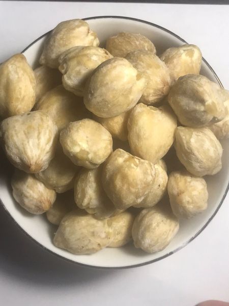 candlenut from 인도네시아 supplied by bintang jaya group indonesia - High Quality 캔들너트