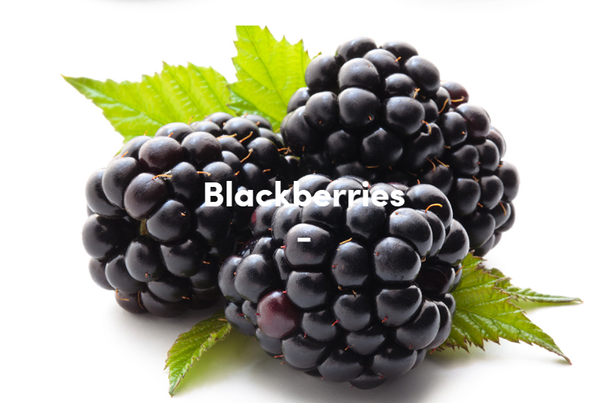 Blackberry from 영국 supplied by Fullers Foods International Plc - Frozen 냉동 블랙베리