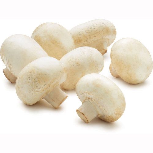 Mushroom from 폴란드 supplied by P.H.U. SZYMAŃSKI Tomasz Szymański - Plastic Punnets (=Clamshells) 기타 신선 버섯류