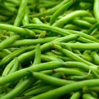 Bobby Beans from Morocco supplied by AGRUPA MARCA - Green Cluster Beans