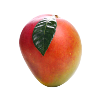 Mango from 포르투갈 supplied by JBI Group, Lda - 붉은빛 신선 망고
