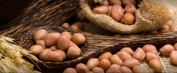 Peanuts from 인도 supplied by Leka Exports - Conventional 땅콩 알맹이
