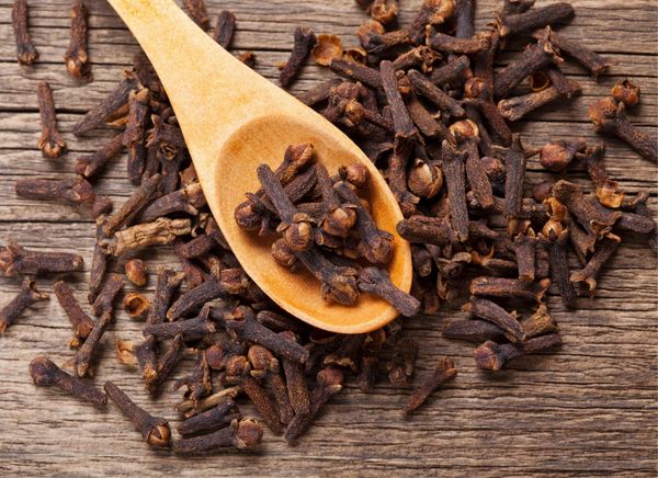 Clove from 스리랑카 supplied by Saboor Chatoor (Private) Limited - Whole 통정향