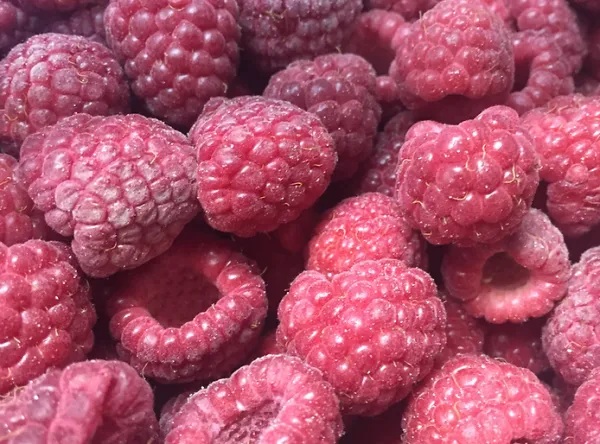Frozen Raspberry from 오스트리아 supplied by B&b Region Fruit GMBH - Red 신선 라즈베리