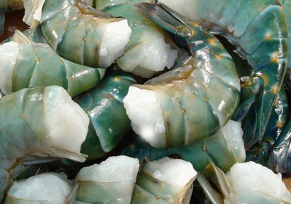 Frozen Shrimp & Prawn from 방글라데시 supplied by NATIONAL SEA FOOD IND. LTD. - Peeled 냉동 새우