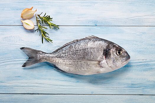 Seabream from Turkiye supplied by Ozsu Fish - Fresh (=Chilled=Raw) Other Frozen Whole Fish