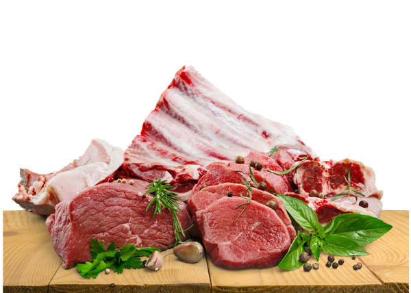 Fresh Lamb Meat from 뉴질랜드 supplied by Simin Faravar - Cut 양고기