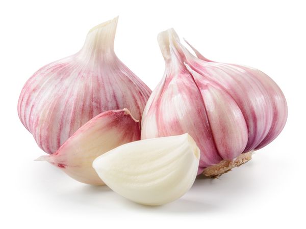 Violet Spring Garlic from Spain supplied by Ajos Palacios SL - Purple Fresh Garlic