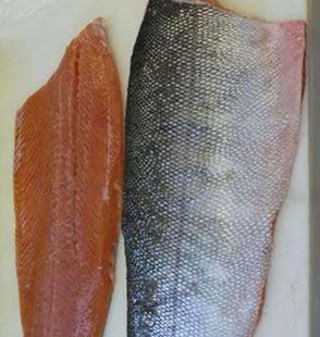 Pink Salmon Fillet from 프랑스 supplied by Elafood France - Boneless (=Without Bone=Deboned) 연어