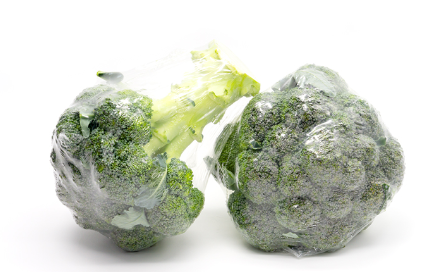 Broccoli from Germany supplied by Plug Verpackungs GmbH - Whole Fresh Headed Broccoli