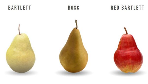 Pears from 미국 supplied by Yakima Valley - Rosy Red 신선 배