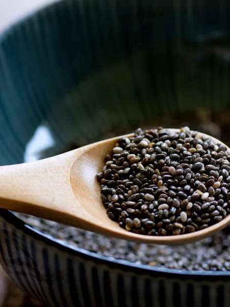 Chia Seed from 독일 supplied by Kleingarn Agrarprodukte GMBH - Raw (=Natural) 치아 씨