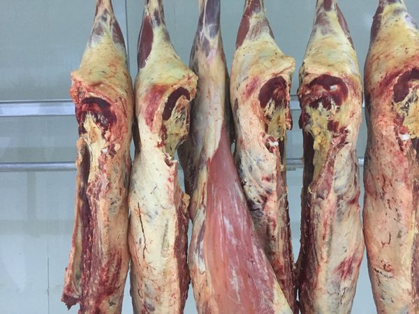 Beef Carcass from Kenya supplied by Neema Livestock and Slaughtering Investments Limited - Beef Cattle (=Yook Woo) Fresh Whole Beef