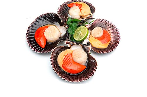 Scallops from Peru supplied by Inversiones Prisco S.A.C. - Whole (=In Shell=Unshucked) Frozen Scallop