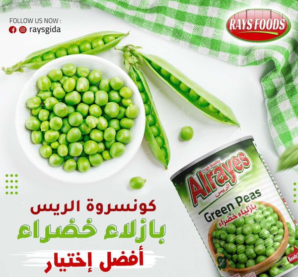 Canned Green peas from 튀르키예 supplied by Rays Foods - Preserved (=Canned) 녹두 가공품