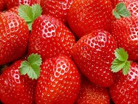 Strawberry from 불가리아 supplied by Agroimpex - Whole 신선 딸기