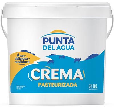 Pasteurized Cream from 아르헨티나 supplied by Punta del Agua SA - Cream 기타 우유