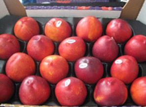 Nectarine from 모로코 supplied by Groupe Arbor - Whole 신선 천도복숭아