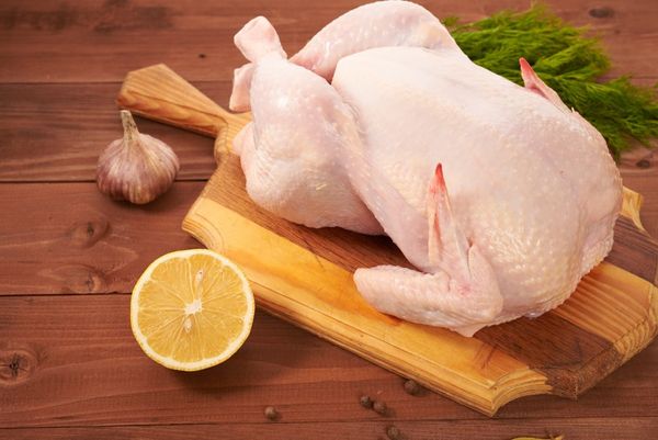 Chicken Meat from 불가리아 supplied by Gala Invest Holding - Frozen 냉동 미절단 닭고기