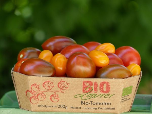 Tomato from 독일 supplied by Biohof Laurer - Brown 신선 토마토