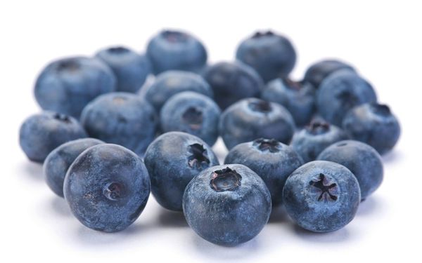 Blueberry from 칠레 supplied by Faraway Land SPA - Blue 신선 블루베리