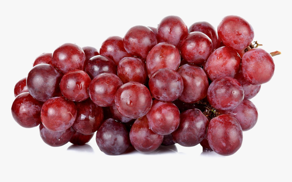 Fresh Grape from Peru supplied by Golden Fresh Peru S.A.C. - Green (=Unripe=Sour) Fresh Grape