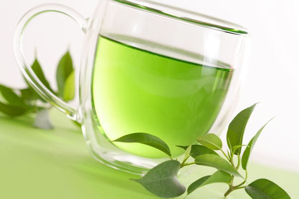 Pure Organic Green Tea from United States supplied by Lap Imports Corp. - Leaves Bulk Green Tea