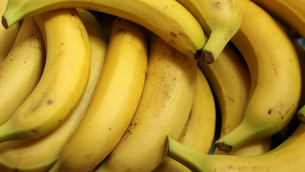 Fresh Bananas from 콜롬비아 supplied by East Colombia Trading Company - Yellow - Ripe 신선 바나나