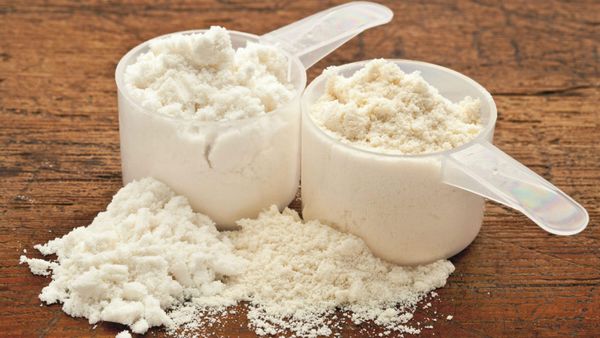 Casein Powder from Czechia supplied by Lacnea - Powder Casein